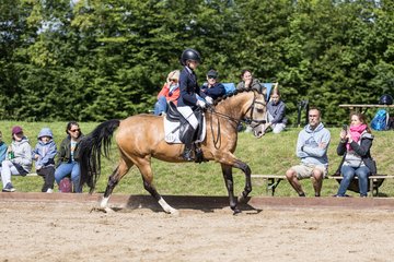 Bild 400 - Pony Akademie Turnier